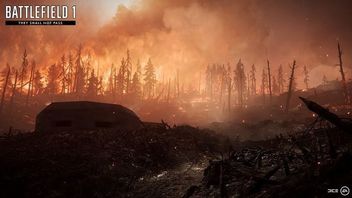 Gracze w Battlefield 1 otrzymają możliwość dzielenia się przepustką Premium