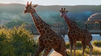 Planet Zoo – trailer na gamescom i data startu beta-testów