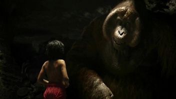 High-Rise, Księga dżungli - weekendowe premiery filmowe