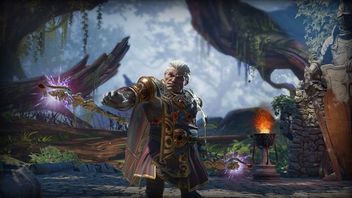 Divinity: Original Sin II z pełnym anglojęzycznym dubbingiem
