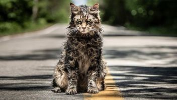 Pet Sematary – zwiastun nowej adaptacji Smętarza dla zwierzaków