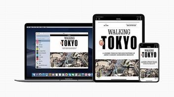 Świetny start Apple News Plus