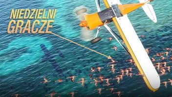 „Nie braliśmy pod uwagę niedzielnych graczy” – twórcy Flight Simulator 2020 szczerze o grze