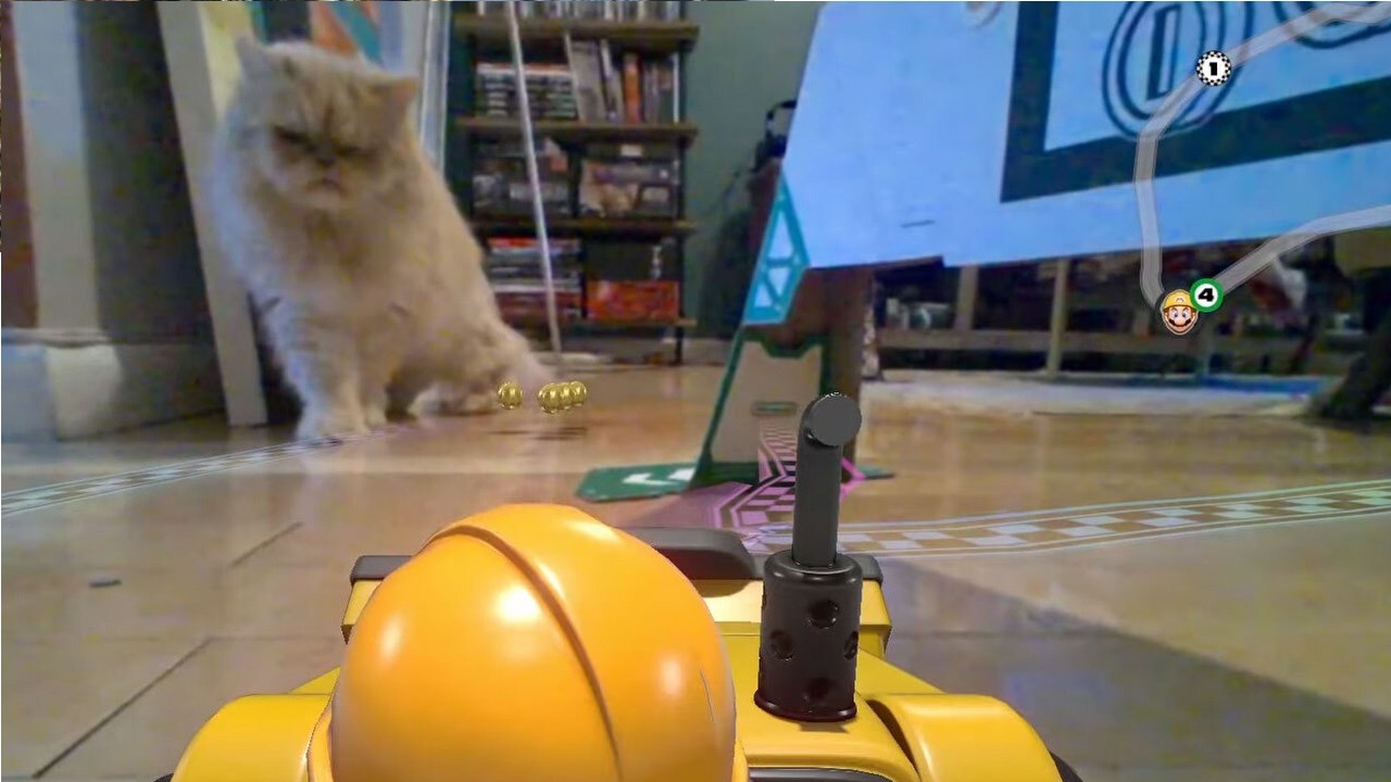 Koty i psy znienawidziły najnowszą grę Nintendo.