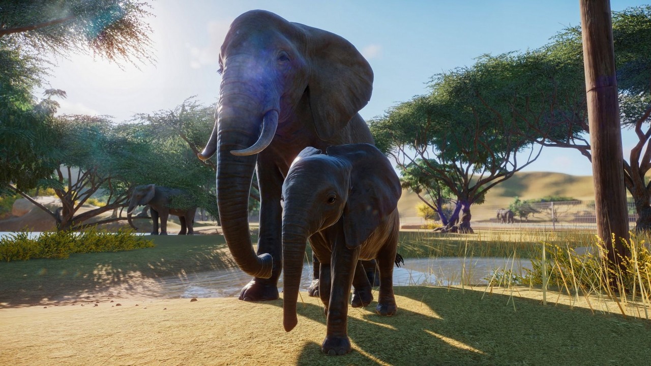 Dystrybucja cyfrowa na weekend (m.in. Planet Zoo, Fall Guys i Dishonored 2).