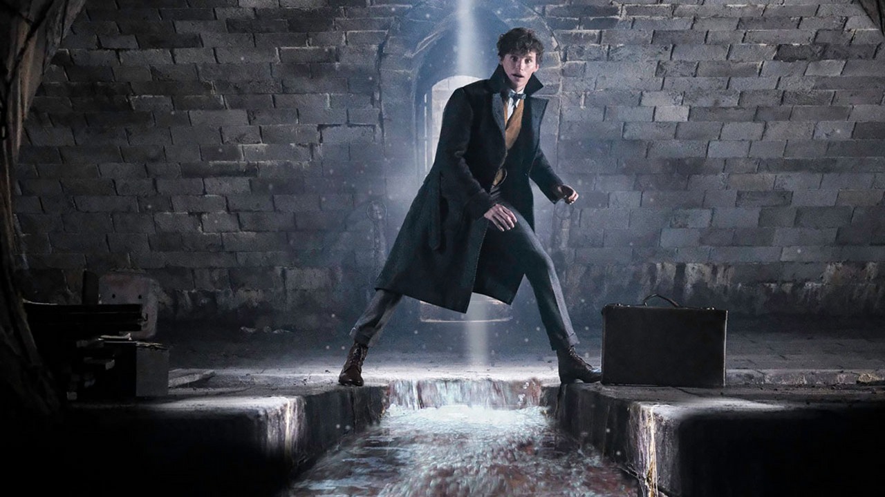 Gwiazdor Fantastycznych Zwierząt 3 morsował podczas zdjęć.