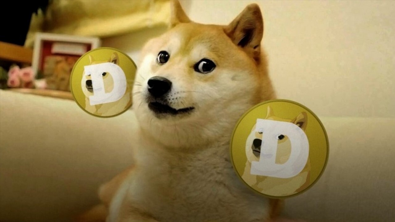 Dogecoin z pomocą Elona Muska i Reddita zyskuje na popularności.