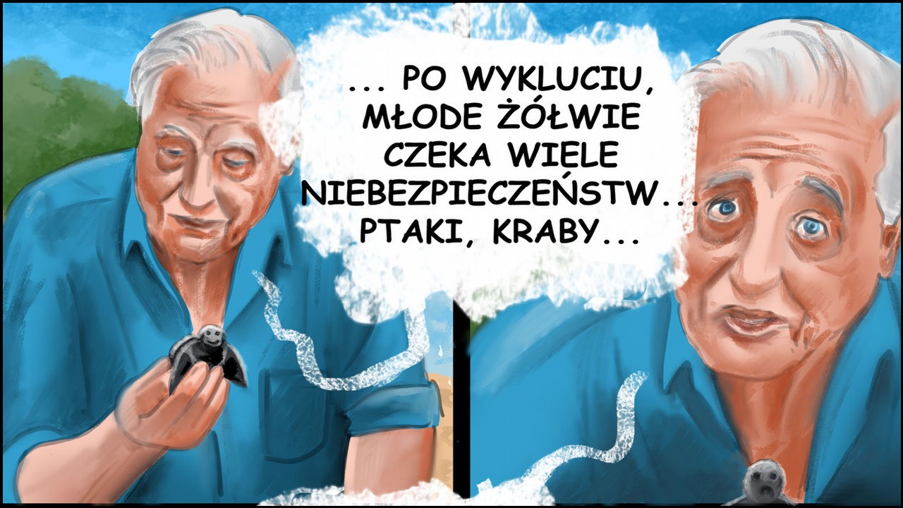 Fatal Draws - odc. 147 - Żółwie.