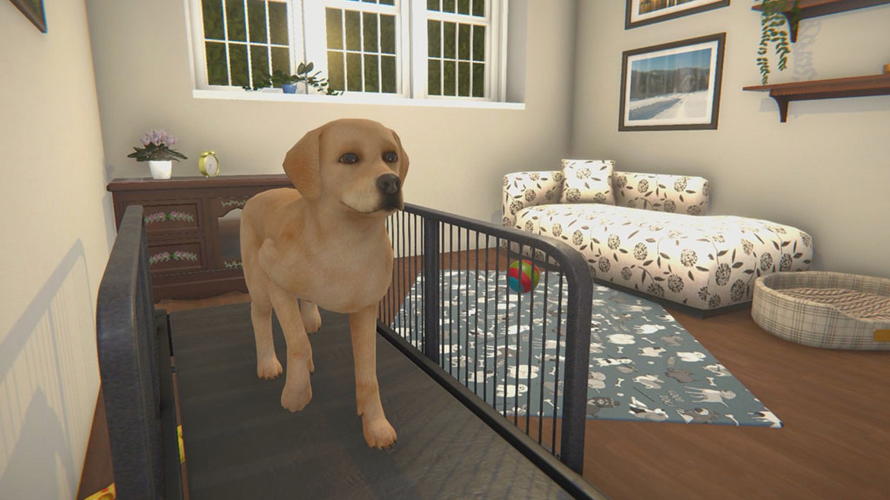 House Flipper dostanie Pets DLC ze zwierzakami.
