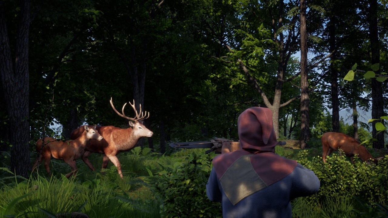 Polscy twórcy Medieval Dynasty zaktualizowali plany rozwoju.