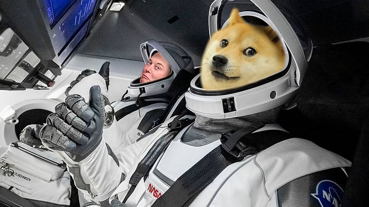 Dogecoin leci w dół; Elon Musk wyśle go na Księżyc.