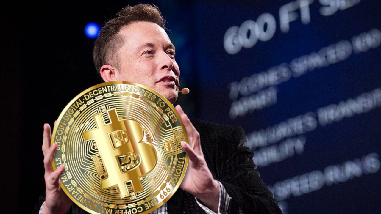 Oszuści ukradli miliony w kryptowalutach „na Elona Muska”.