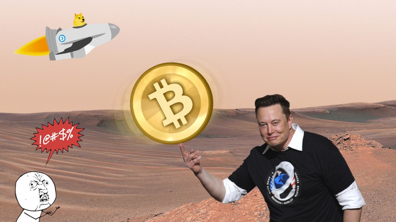 Posiadacze Bitcoinów są wściekli na Elona Muska.