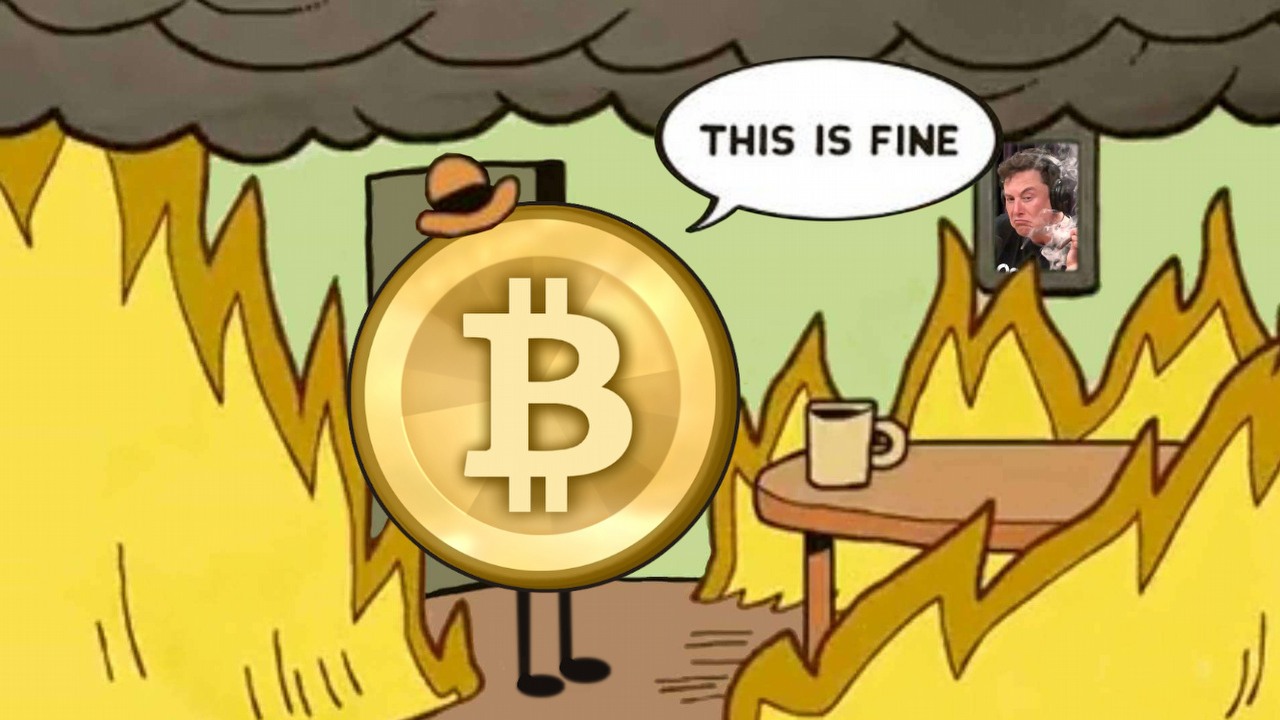 Internet reaguje memami na pierwszy krach bitcoina w 2021 roku.