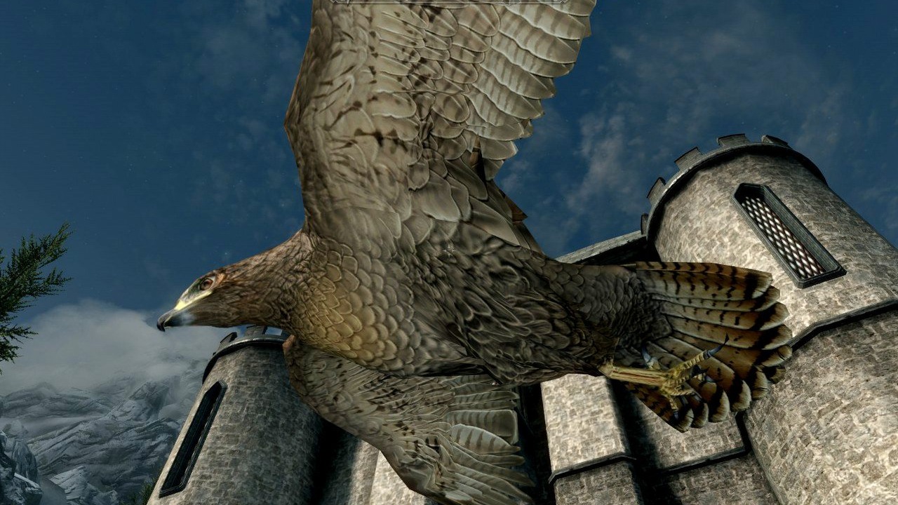 Sokolnictwo w Skyrim - ten mod to dzieło pasjonata.