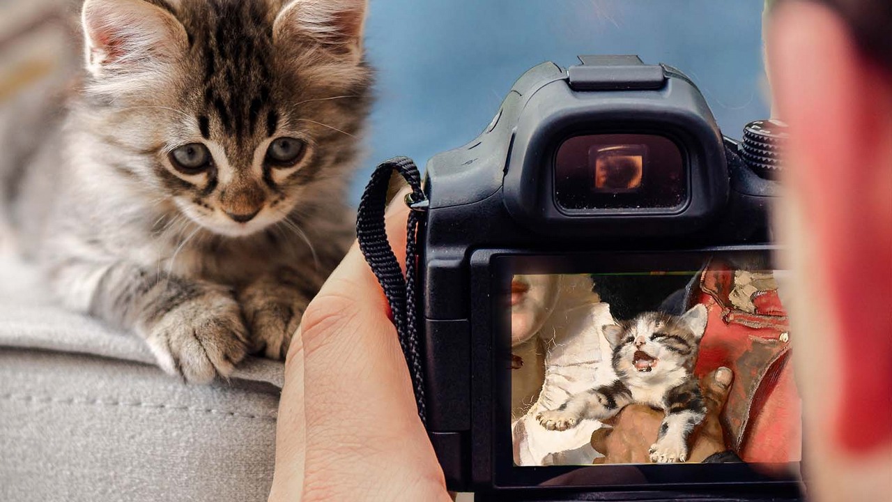 Wypróbowaliśmy nową funkcję Google. Myli koty z pingwinami, ale i tak jest fajnie.