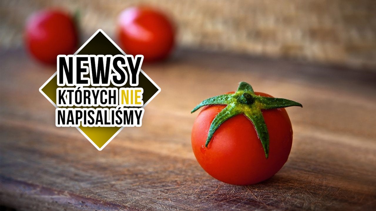 Windows 11 zawstydził macOS, a Heinz podbija Marsa.