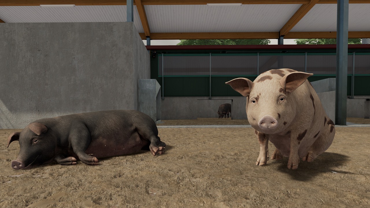 Uciekające świnie to nie jedyny problem Farming Simulator 22.