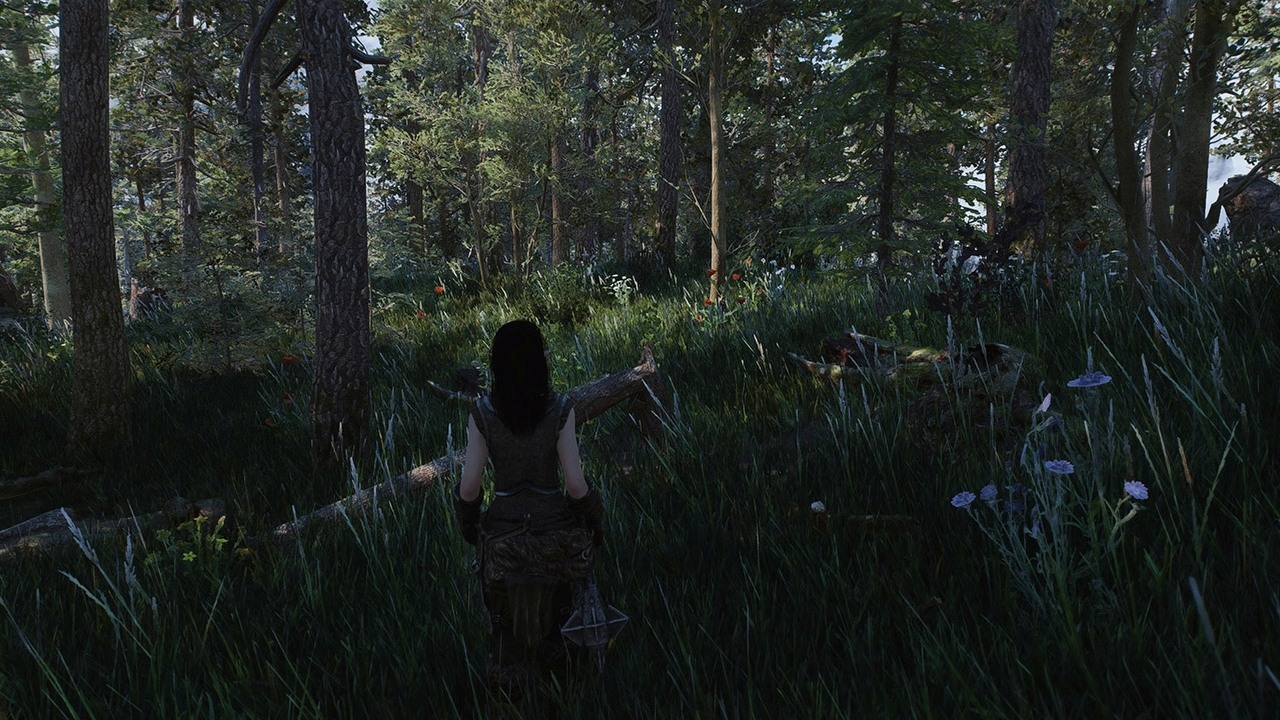 Ten mod przenosi las w Skyrimie na zupełnie nowy poziom.