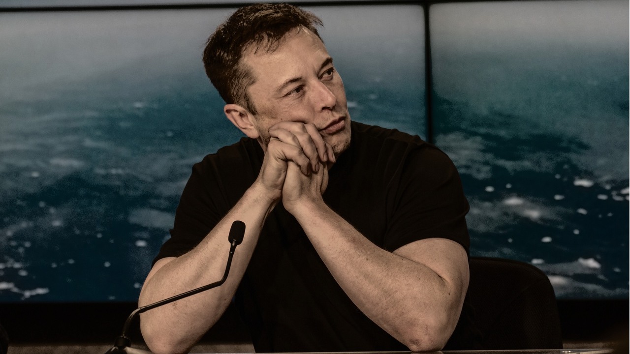 Elon Musk kontra Władimir Putin na niedźwiedziu - szef Tesli proponuje walkę.