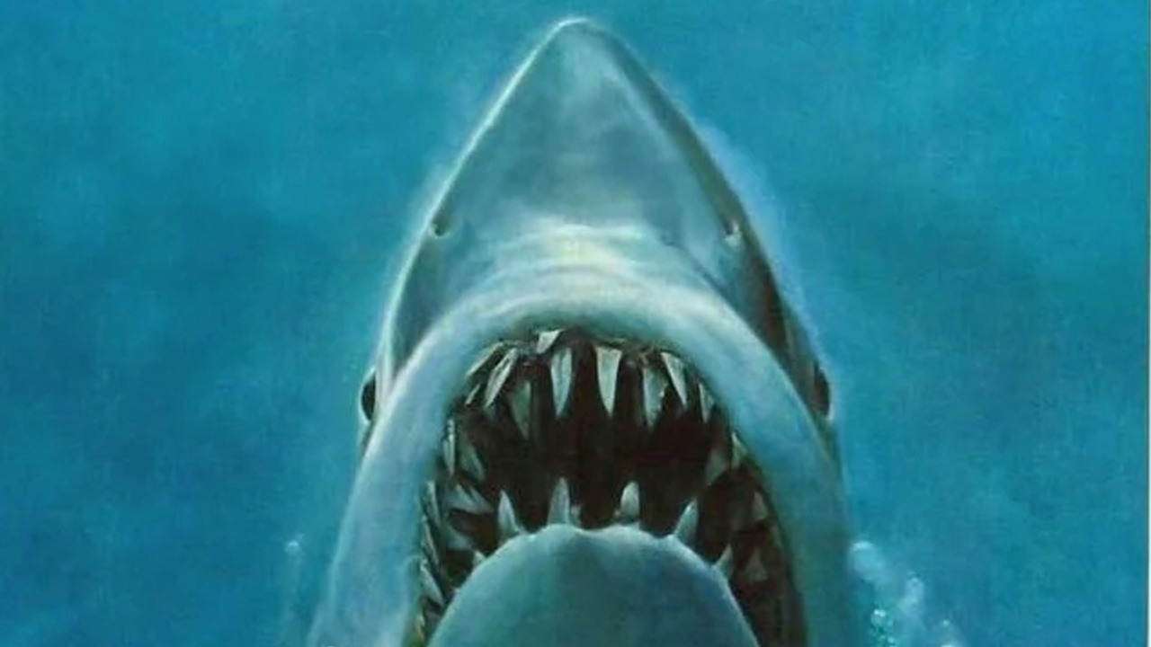 Steven Spielberg niegdyś gardził Netflixem, a od niedawna z nim współpracuje.