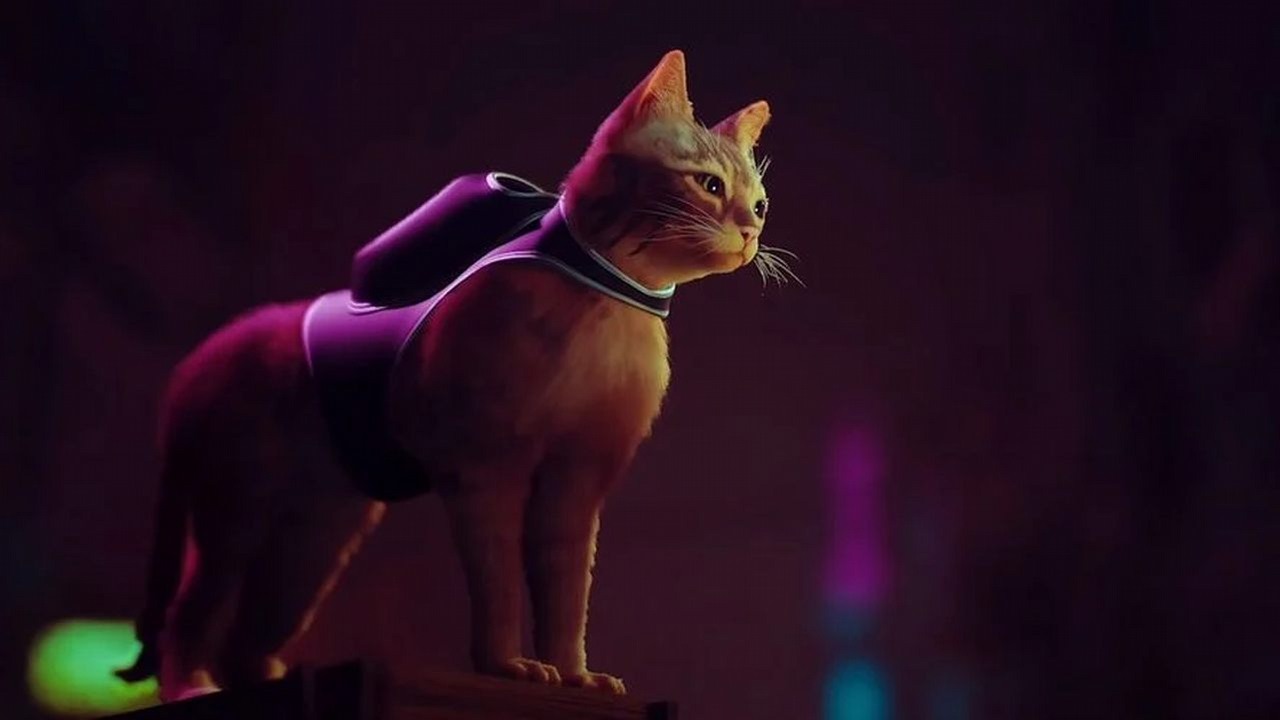 Stray z kategorią wiekową w Korei; premiera może być blisko.