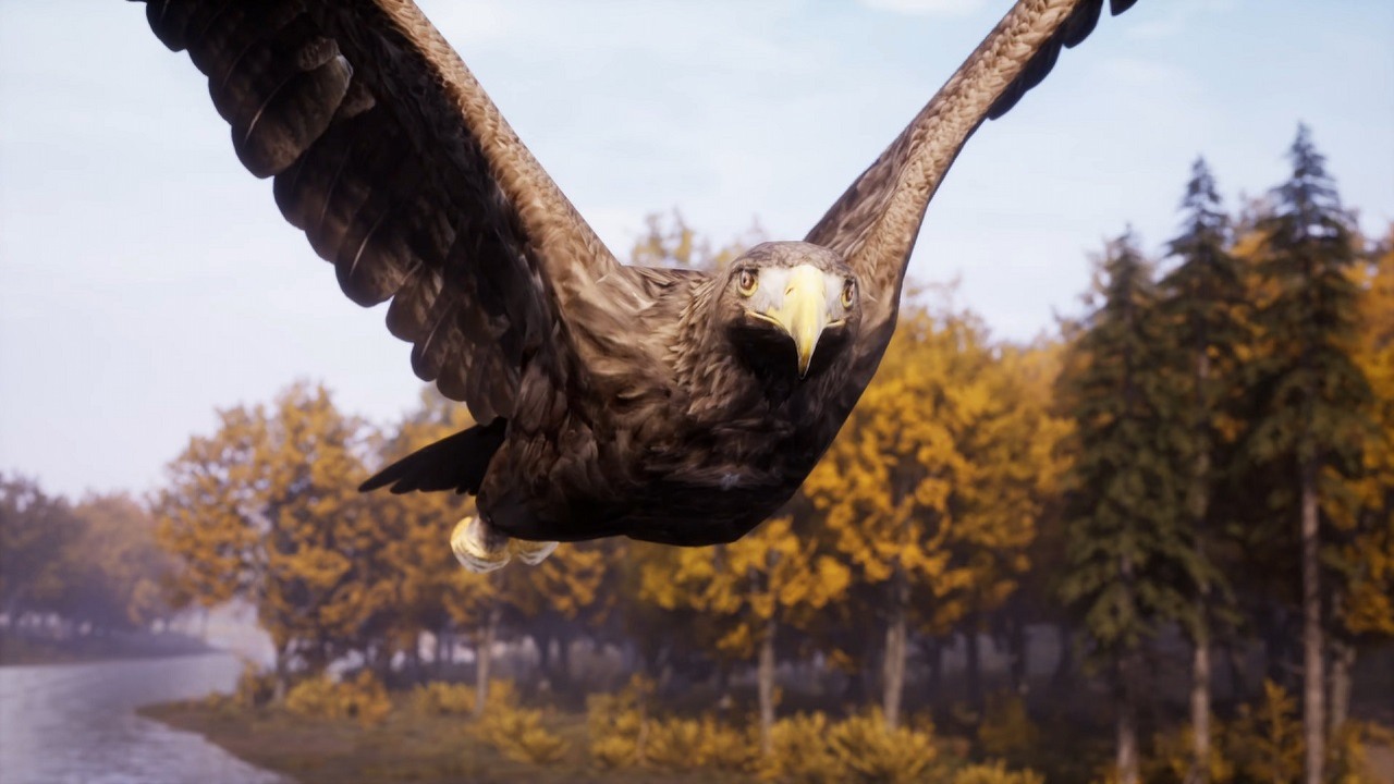 Polskie Medieval Dynasty nie traci popularności i prężnie się rozwija.