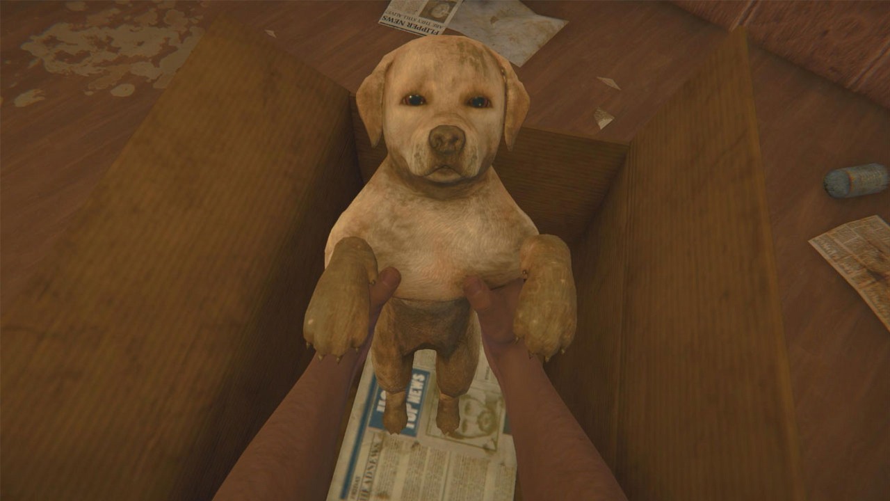 Dzięki słodkim zwierzątkom polski House Flipper znów ma tłumy graczy.