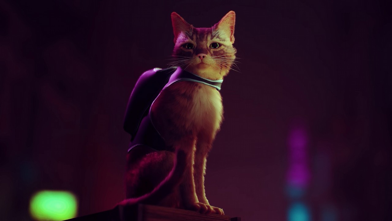W PSN pojawiła się data premiery Stray, cyberpunkowej gry o kocie.