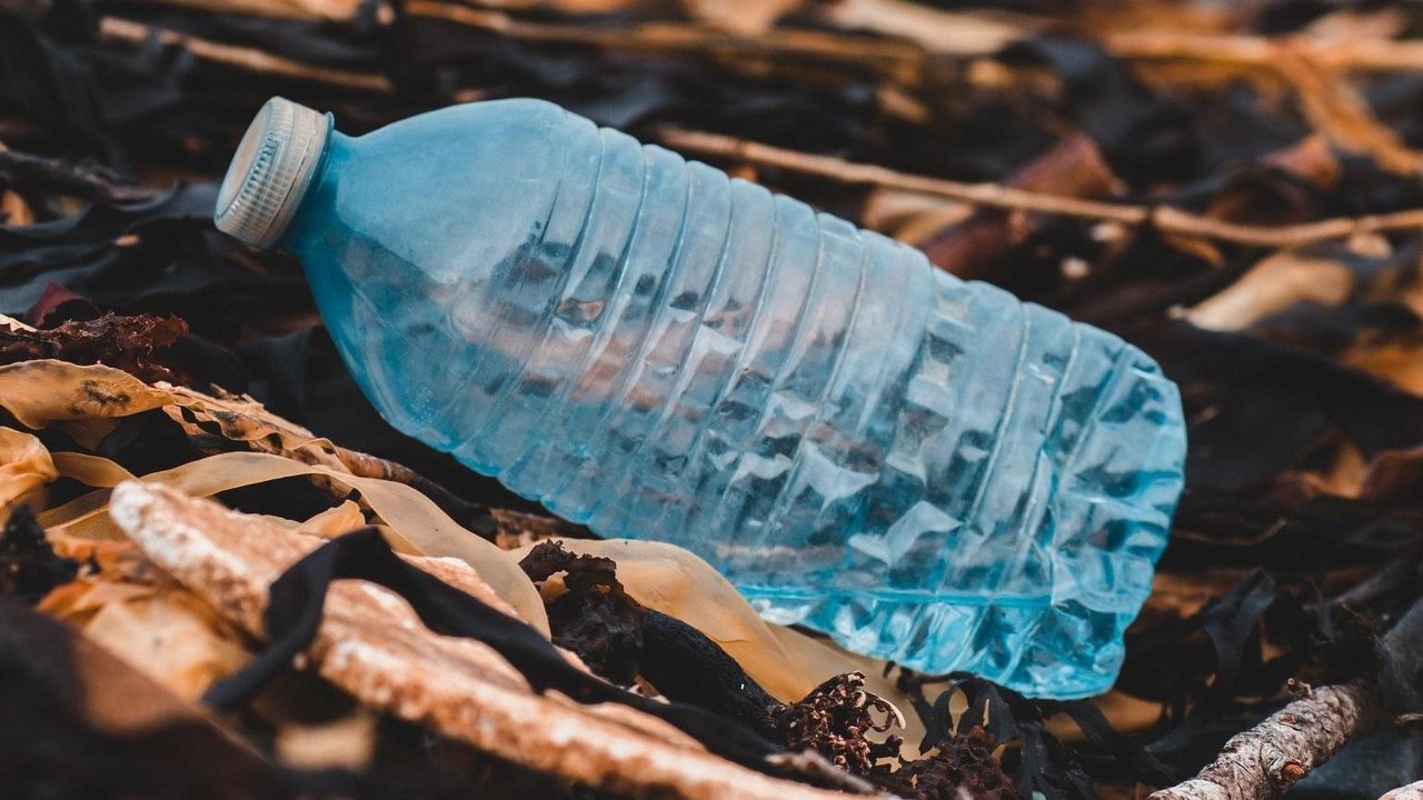 Enzym stworzony przez AI zjadł cały plastik, jaki mu dali.