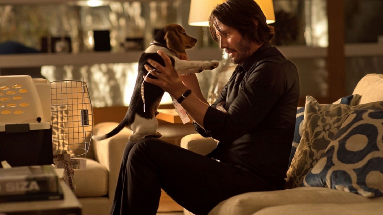 Aktorka z Johna Wicka 4 przerażona tym, co Keanu Reeves wyczynia na planie.