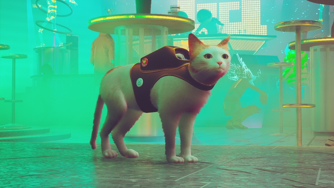 Brakuje Ci personalizacji kota w Stray? Z modami możesz nawet zagrać psem.