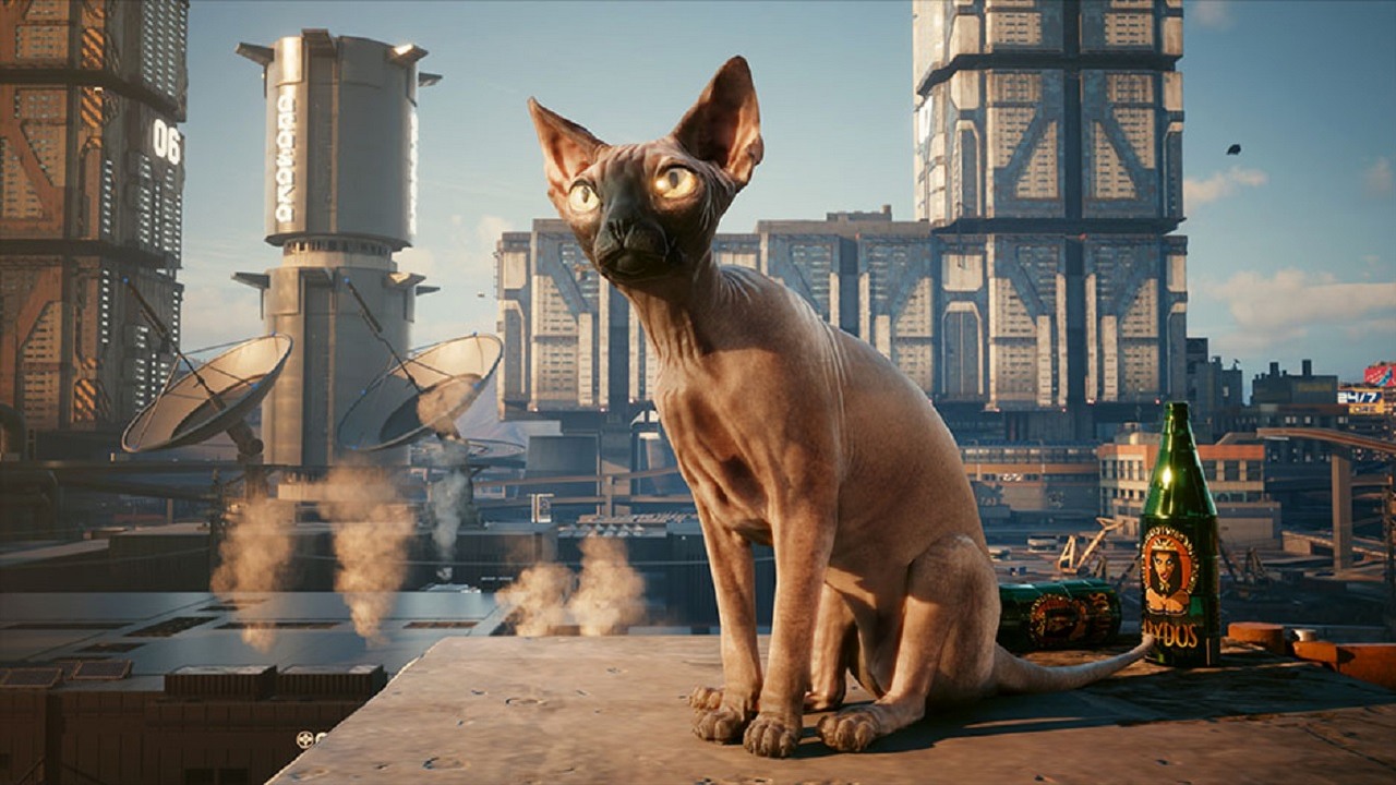 Cyberpunk 2077 z konkursem fotograficznym dla kociarzy.