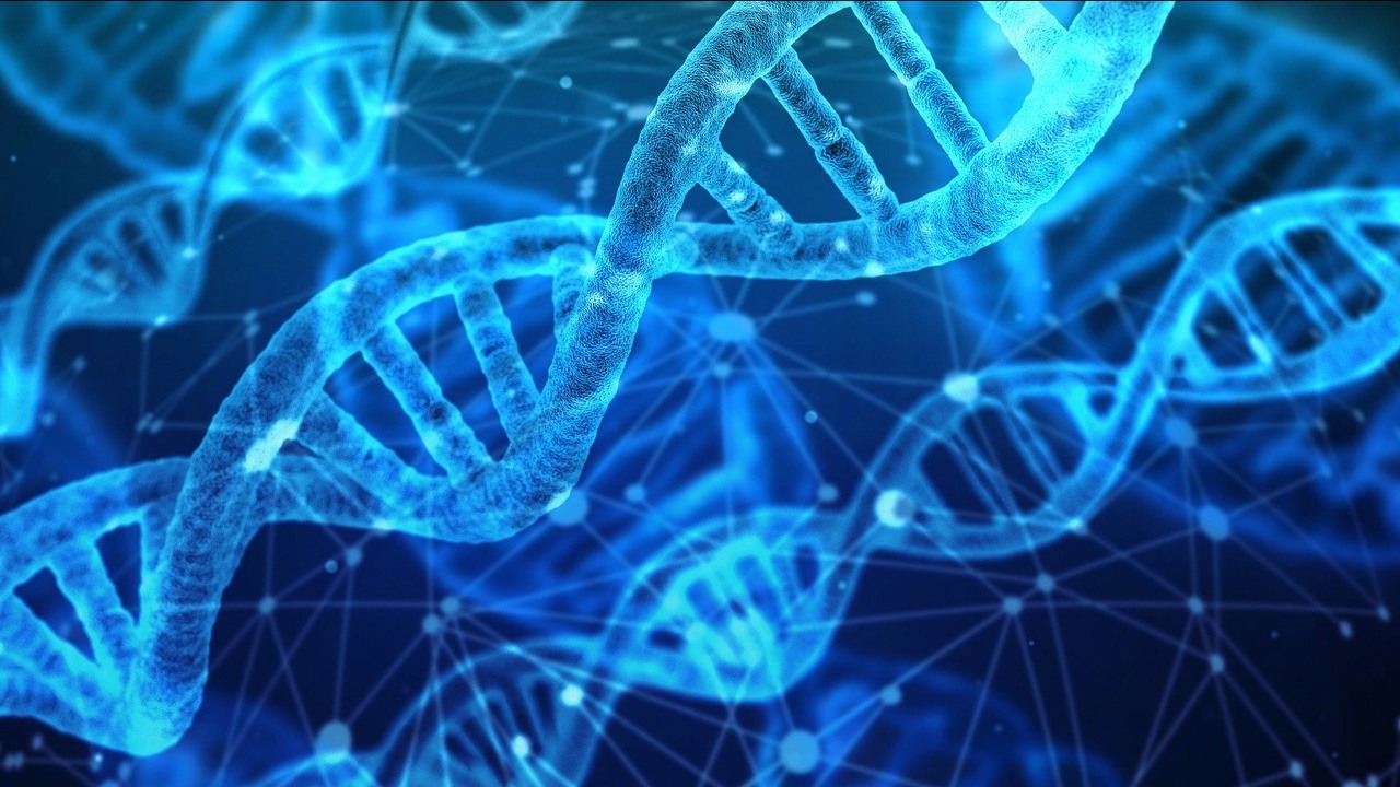 Chińczycy masowo zbierają próbki DNA bez zgody obywateli.