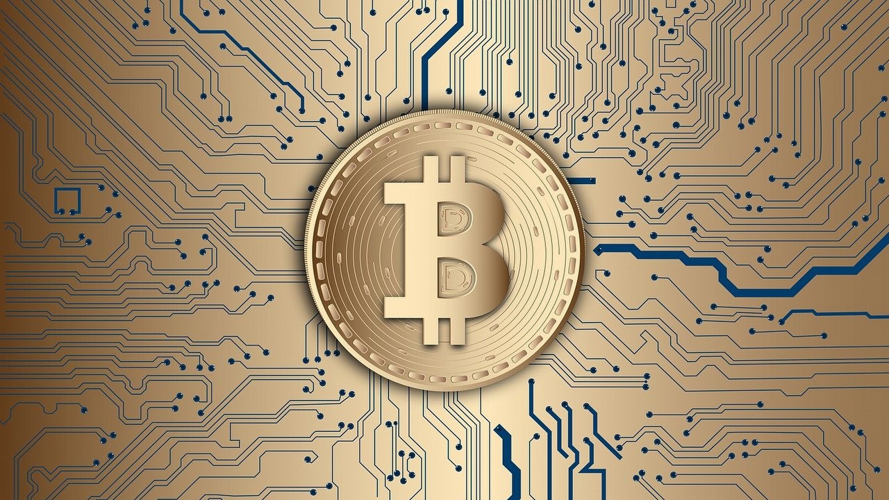 Bitcoin jest jak wołowina, twierdzą naukowcy, źródło grafiki: jaydeep_ | Pixabay..