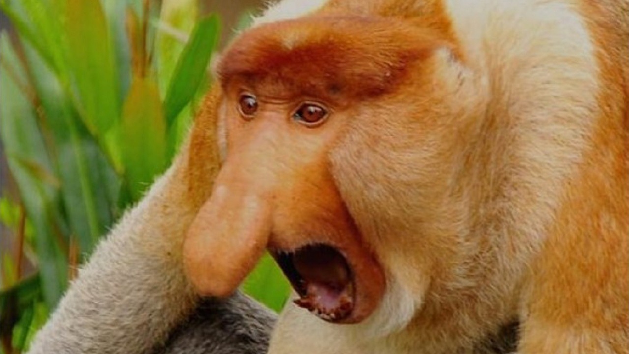 „Narodowy” silnik gier okazał się za drogi dla rządu Rosji, źródło grafiki: blasty.pl..