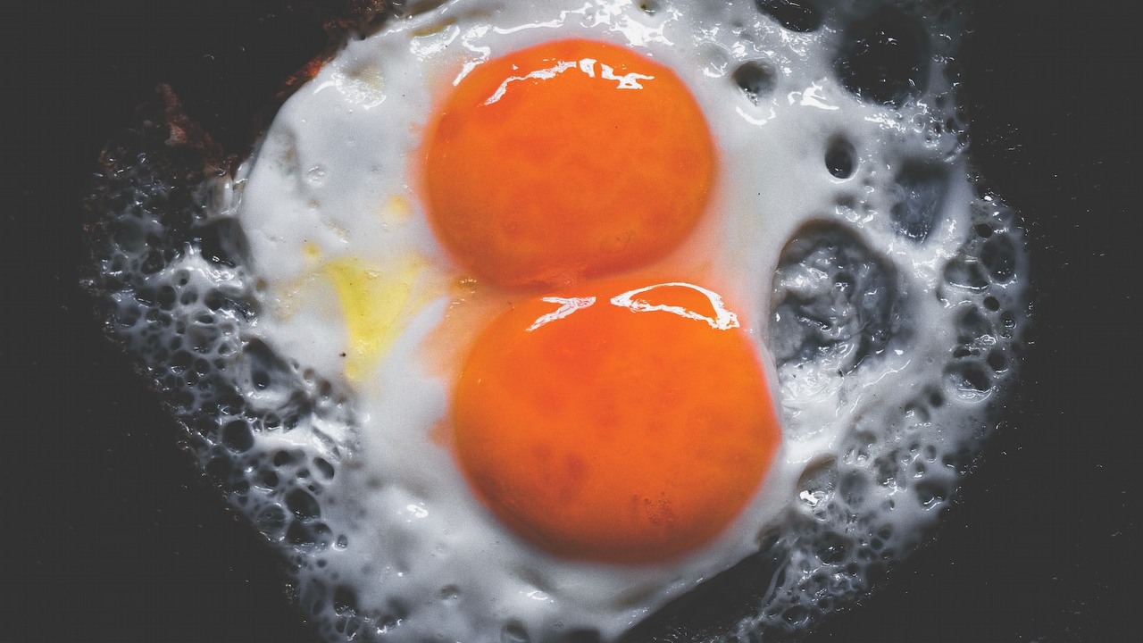 Z mikroplastikiem będziemy walczyć jajkami, źródło grafiki: Unsplash | Sanjoy Saha.