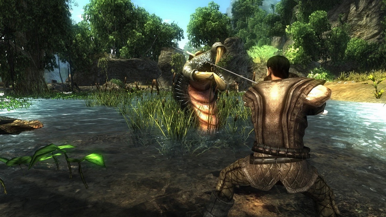 Risen, „następca” Gothica, oficjalnie zapowiedziany na nowe platformy, źródło grafiki: Risen / Steam..