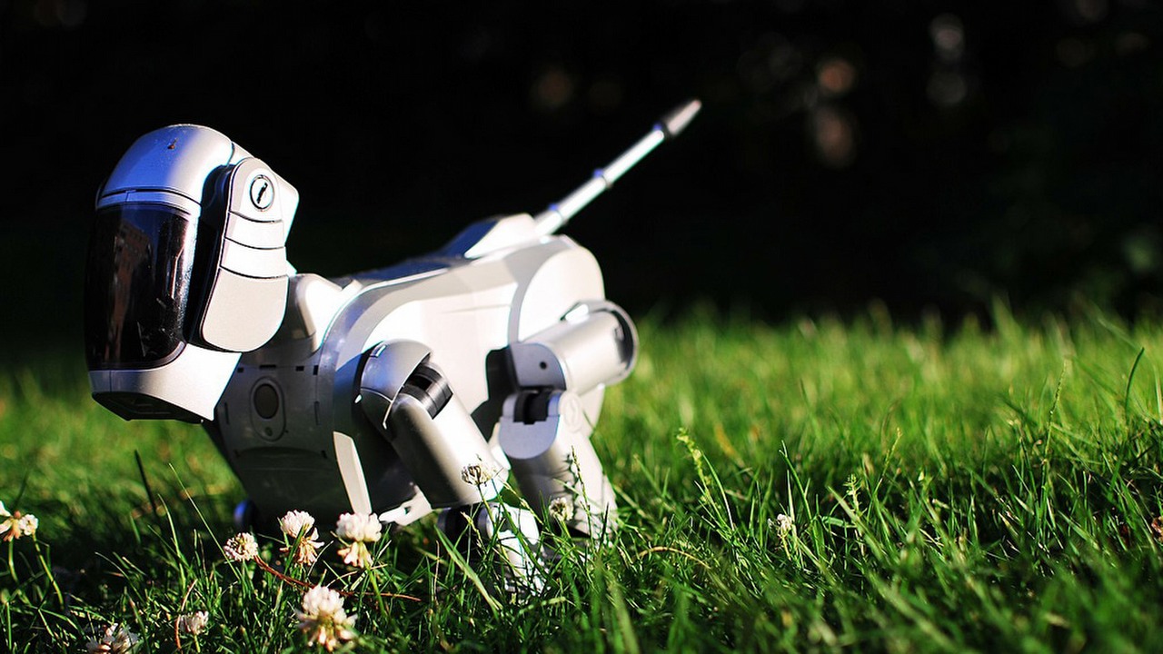 Sony ma technologię, by zbudować humanoidalnego robota; czemu go nie produkuje?, źródło grafiki: Morgan/Wikipedia CC BY 2.0.