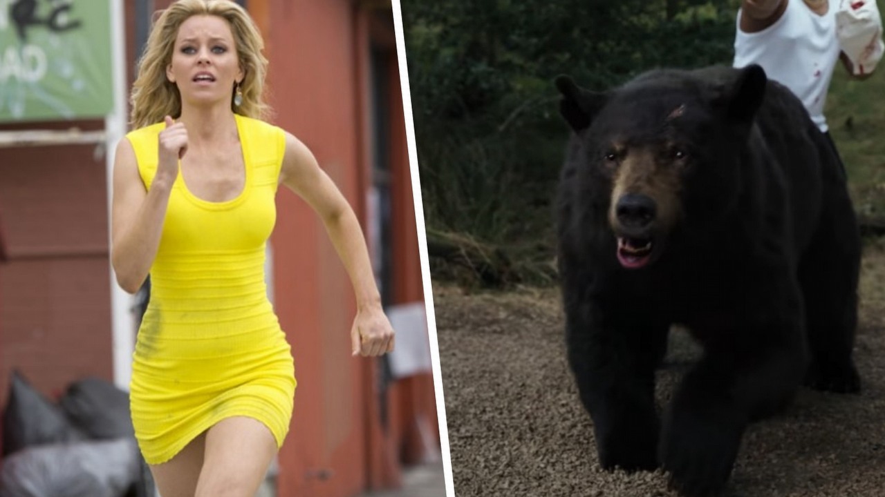 Krwawy Cocaine Bear to według reżyserki ryzykowny projekt: „Klęska filmu może oznaczać koniec mojej kariery”, źródło grafiki: Dzień z życia blondynki, Steven Brill, FilmDistrict, 2014, Cocaine Bear, Elizabeth Banks, Universal Pictures, 2023.