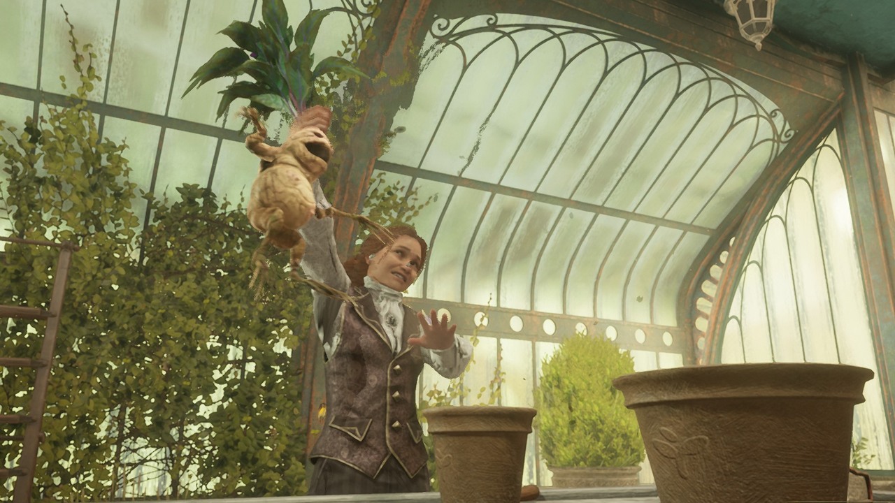 Jak zdobyć mandragorę w Hogwarts Legacy, źródło grafiki: Warner Bros. Interactive Entertainment.