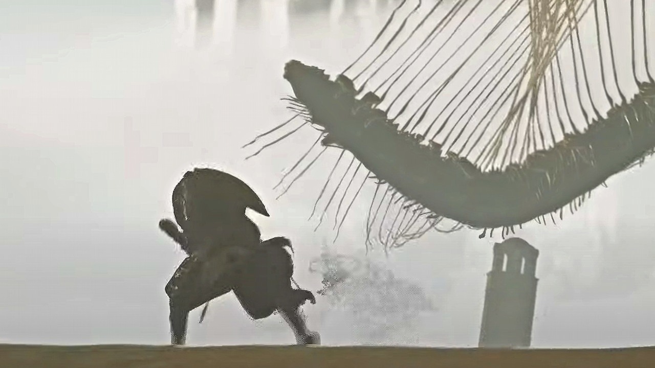 Bleak Faith nadmiernie kopiuje Elden Ring, twórcy oskarżeni o kradzież [Aktualizacja], źródło grafiki: Archangel Studios.