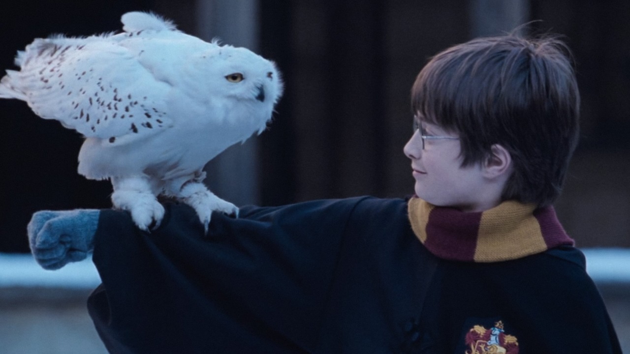 J.K. Rowling komentuje wezwania do bojkotu serialu o Harrym Potterze, źródło grafiki: Harry Potter i kamień filozoficzny; reż. Chris Columbus; Warner Cinema; 2001.