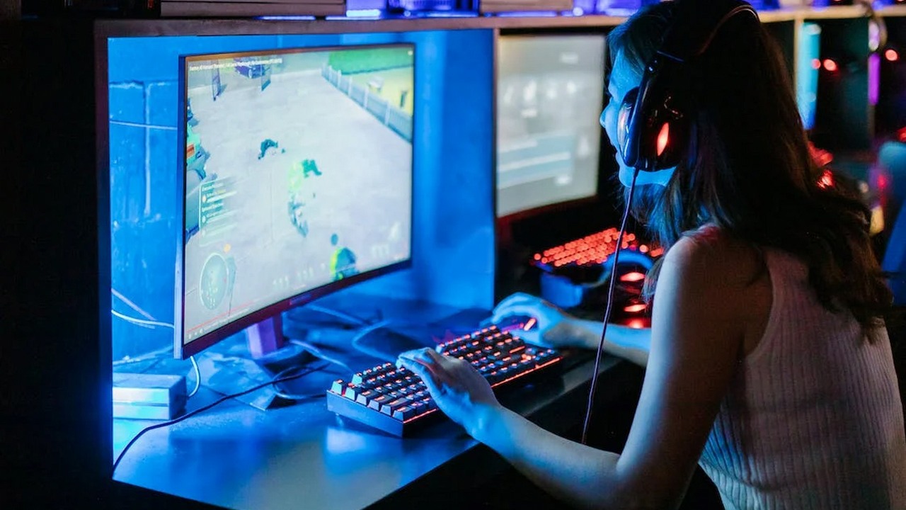 Połowa pecetowców to kobiety, tak wynika z analizy rynku USA, źródło grafiki: RDNE Stock project.