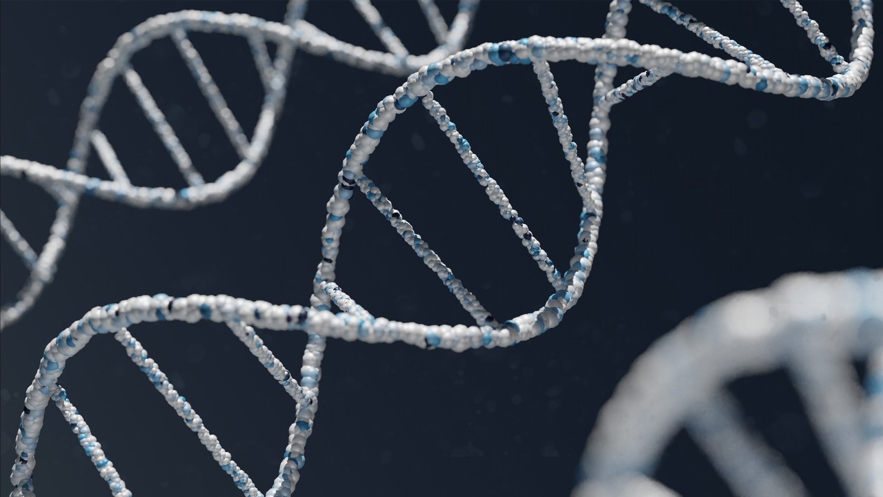 Tajemnica tego, co robi z nami neandertalskie DNA, została rozwiązana, źródło grafiki: Warren Umoh | Unsplash.