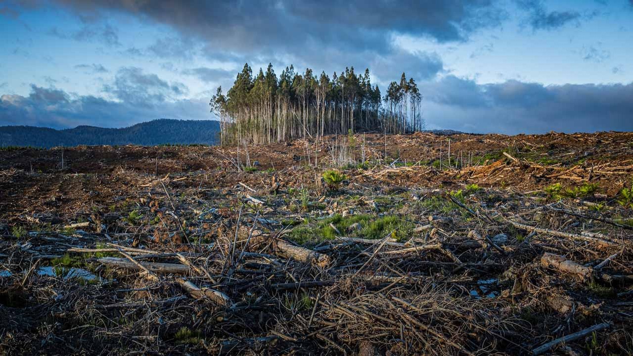 Rekordowe temperatury zmuszają do podjęcia poważnych kroków; ostrzega sekretarz generalny ONZ, źródło grafiki: Unsplash | Matt Palmer.