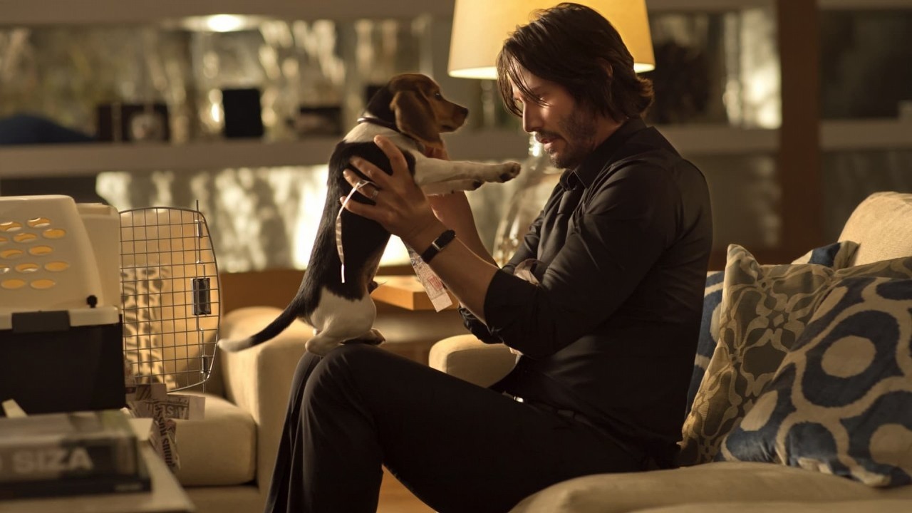 Zanim stał się Johnem Wickiem, Keanu Reeves 39 lat temu zrobił dziwaczny reportaż o pluszowych misiach, źródło grafiki: John Wick; reż. Chad Stahelski; Summit Entertainment; 2014.
