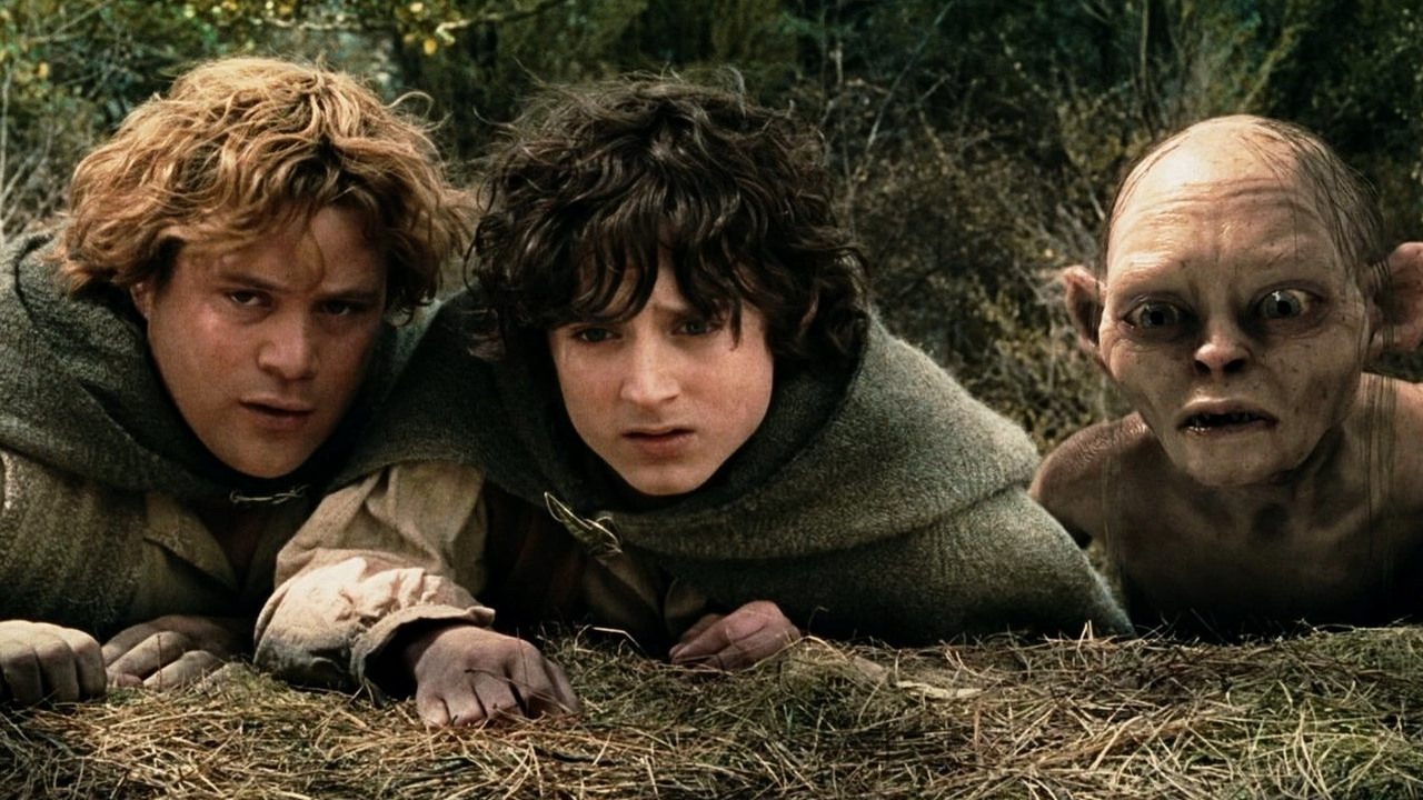 Elijah Wood tak pragnął dostać rolę Frodo we Władcy Pierścieni, że zapewnił sobie bardzo nietypowe przesłuchanie, źródło grafiki: Władca Pierścieni: Dwie wieże, Peter Jackson, Warner Bros., 2002..