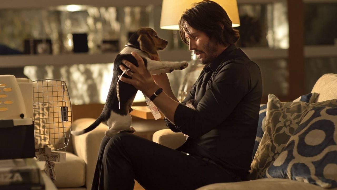 Reżyser Johna Wicka odpowiedział na zarzuty fanów. „Wiemy, jak niedorzeczne jest zabicie 80 facetów z powodu szczeniaka”, źródło grafiki: John Wick, Chad Stahelski, Lionsgate, 2014..