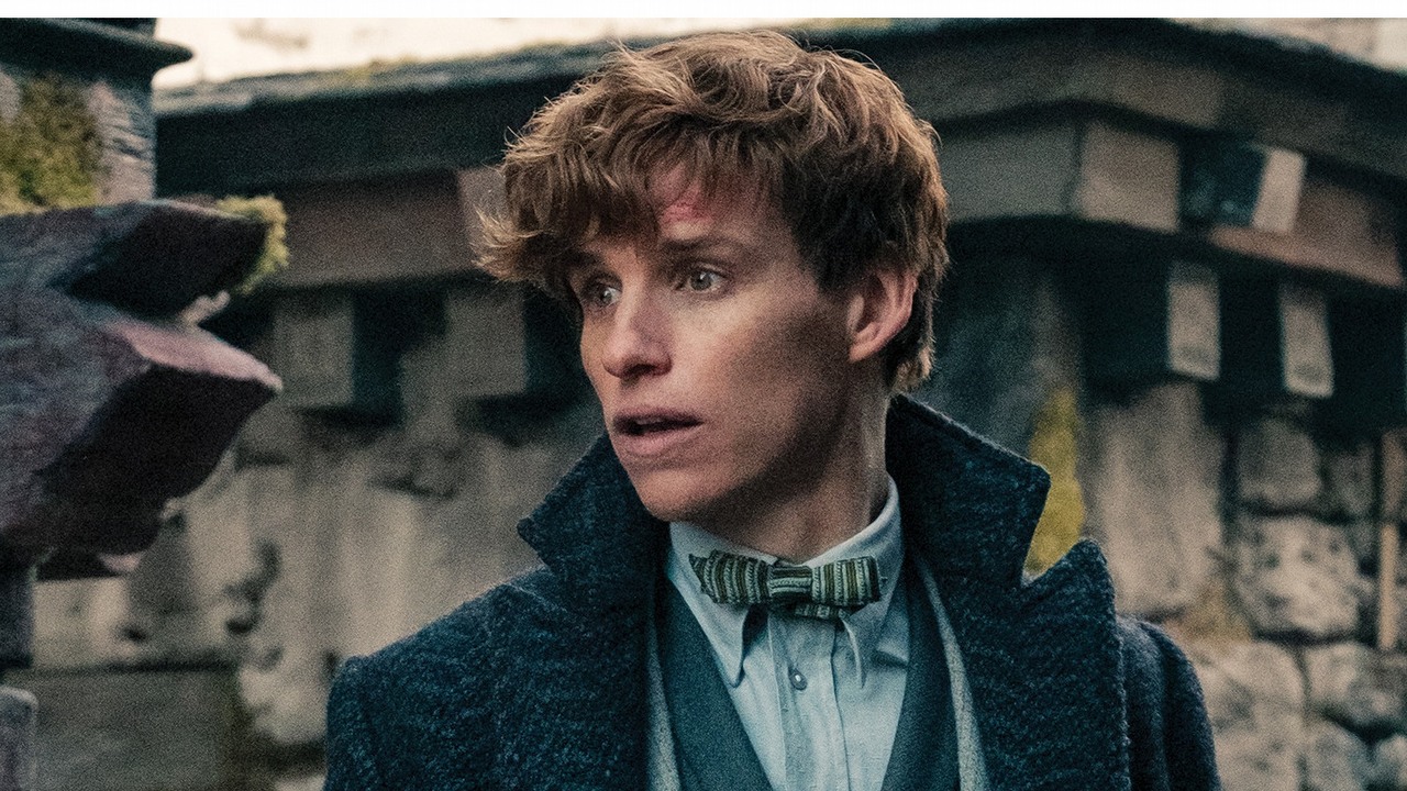 Co z planem na 5 filmów Fantastyczne zwierzęta? Reżyser skomentował przyszłość serii po 3 widowiskach, źródło grafiki: Fantastyczne zwierzęta i jak je znaleźć; David Yates; Warner Bros. Pictures; 2016.